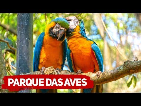 Video: Parque de las Aves, Foz do Iguaçu